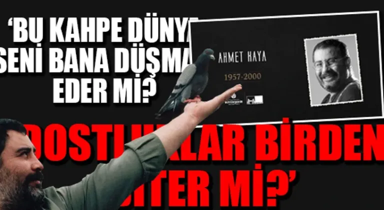 Haber Resmi